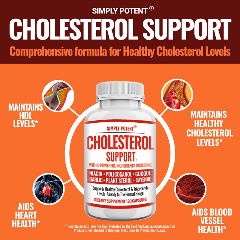 Healthy Cholesterol Support Supplement