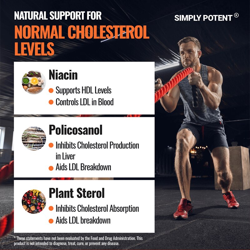 Healthy Cholesterol Support Supplement